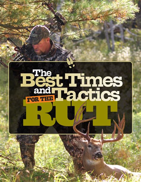 Tips For Hunting The Whitetail Deer Rut