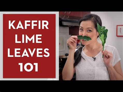 Ultimate Guide To Makrut Kaffir Lime Leaves Hot Thai Kitchen