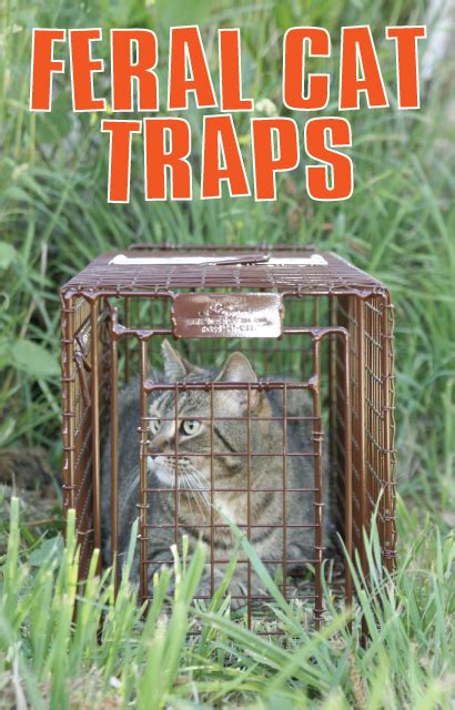Feral cat drop trap drop traps allow you to catch a cat or. Home Page | Tru Catch Traps