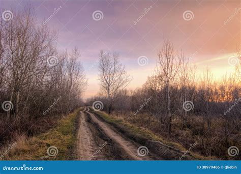 Old Country Road At The Autumn Sunset Light Stock Photo Image Of