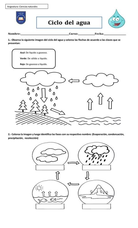 Ciclo Del Agua Profe Social