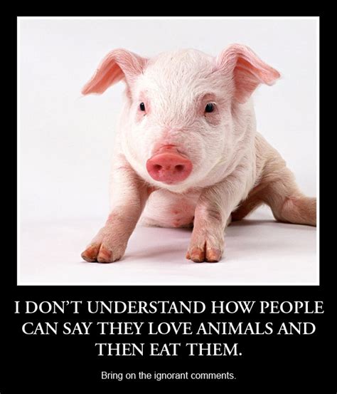 #animals #vegetarian | I like animals more than people | Pinterest