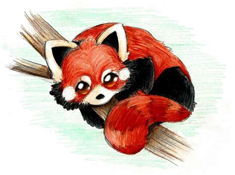Chibi Red Panda By Pinkymaggie On Deviantart