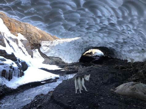 Kenobi Exploring Ice Caves In Colorado Rcampingandhiking