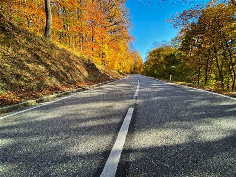 Country Road Through Autumn Forest Stock Photo Image Of Travel Tree