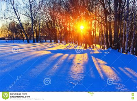 Colorful Winter Sunset Stock Photo Image Of Sunlight 78050926