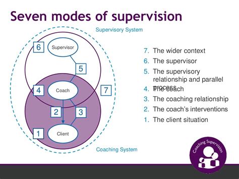 The 7 Eyed Model Of Supervision Webinar December 2014