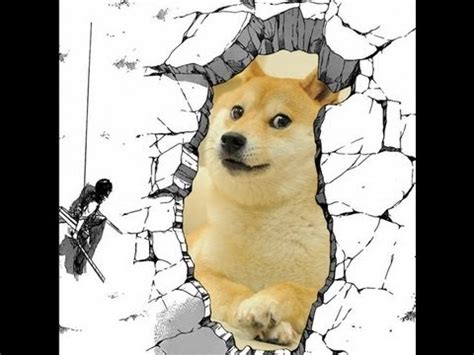 We have 87+ background pictures for you! DOGE (2014) - Official Teaser Trailer | HD - YouTube