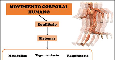 Fisioterapia Ucv Teorías Explicativas Del Movimiento Corporal Humano