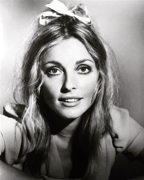 sharon tate photographed for the wrecking crew in 1968 sharon tate tate old hollywood