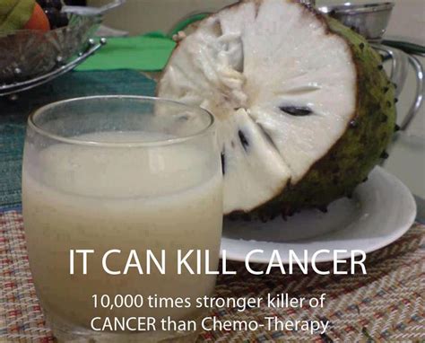 Its called the sour sop or the fruit from the graviola tree. Graviola: "CANCER KILLER - Natural Cancer Cell Killer ...