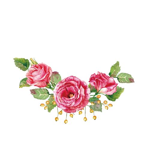 Flores Rosas Png Vectores Psd E Clipart Para Descarga Gratuita Pngtree