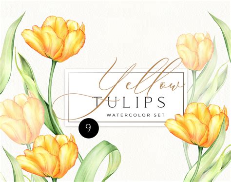 Watercolor Tulip Clip Art