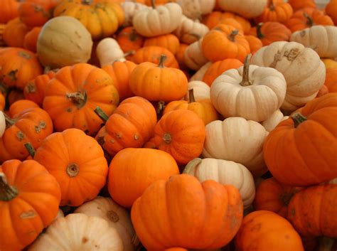 12th Annual Cedar City Pumpkin Festival Offers Fall Themed