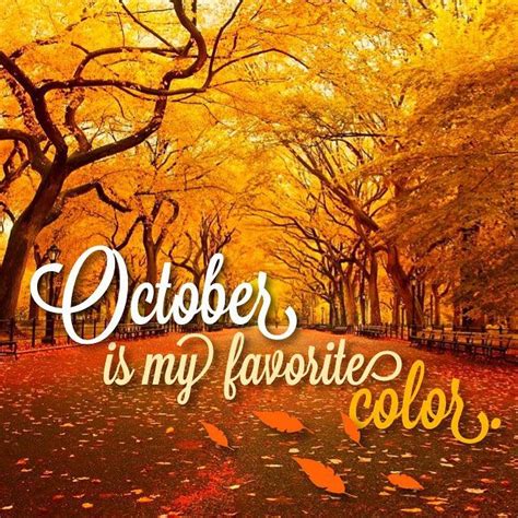 Yes It Is Welcome October 🍁🍂🎃 Octoberismyfavoritecolor October