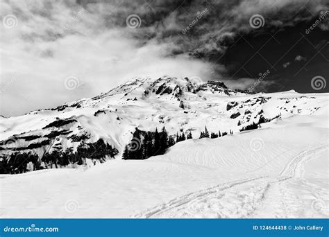 Snow At Mount Rainier National Park In Winter Stock Photo Image Of