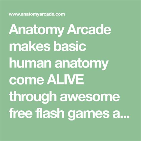 Anatomy Arcade Makes Basic Human Anatomy Come ALIVE Through Awesome