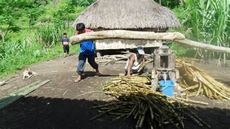Social And Cultural The Traditional Practices In Kalinga Virily
