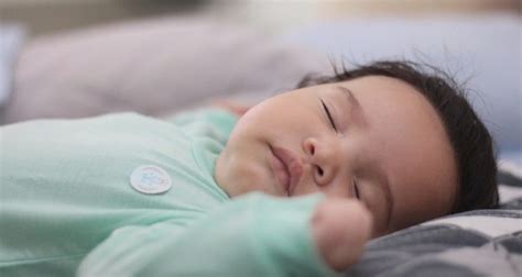Ab wann fangen babys an zu krabbeln? Wissenswertes für Eltern Archive - Das Eltern ABC
