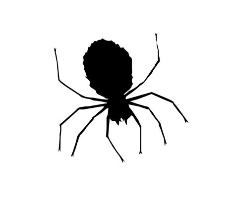 Small Spider Clipart 20 Free Cliparts Download Images On Clipground 2021