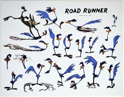 Looney Tunes Model Sheet Print Featuring Road Runner 1599 Picclick