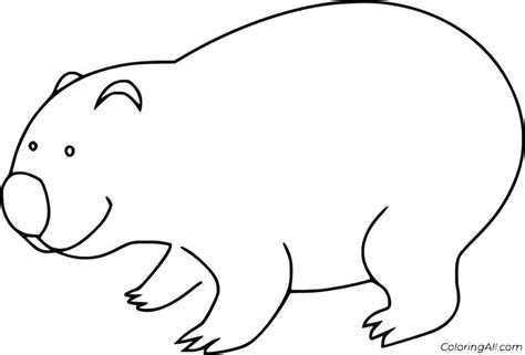 18 Free Printable Wombat Coloring Pages In Vector Format Easy To Print