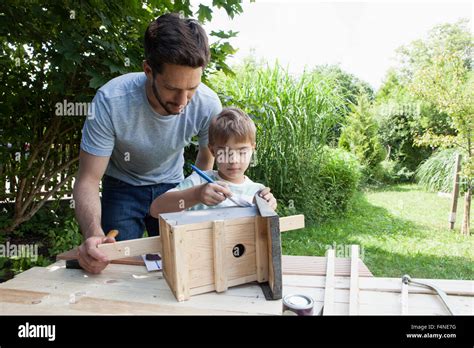 Father And Son Building Up A Birdhouse Stock Photo Alamy
