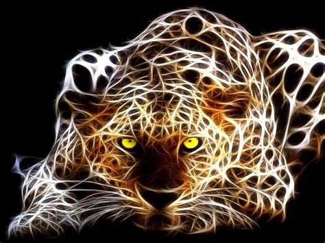 Cool Animals Wallpapers 60 Pictures