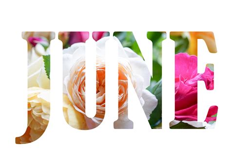 Noun survivorship the state of being a survivor 0. Survivorship Table: June | Savor Health