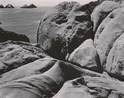 Edward Weston Point Lobos 1931