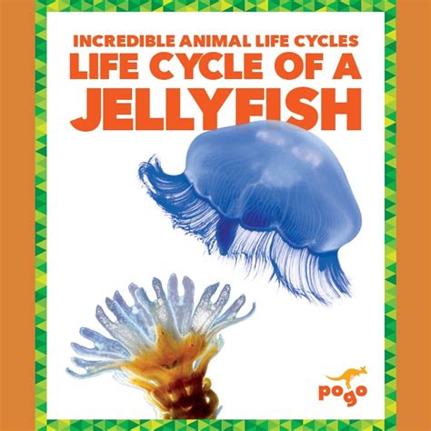 Life Cycle Of A Jellyfish Audiobook By Karen Latchana Kenney Free