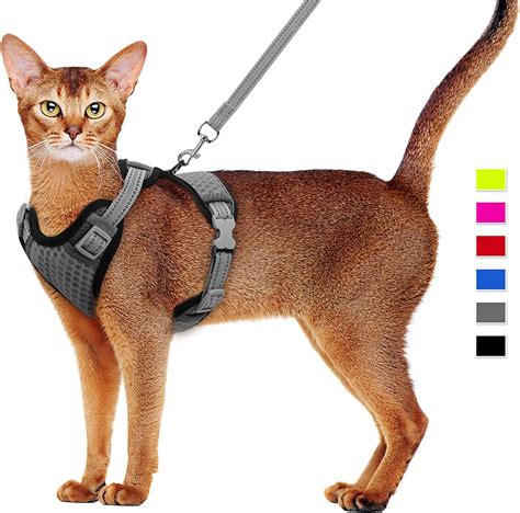 Pet Supplies Cat Harness And Leash Set Escape Proof Kitten Harness