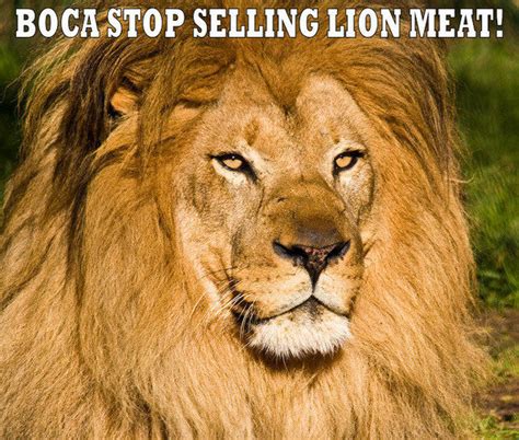 Petition · Tell Arizona Restaurant To Stop Selling Lion Meat Tacos