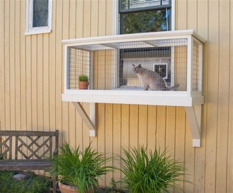 Patio run, with window access: It's Easy to Build a DIY Catio for Your Cat (With images ...