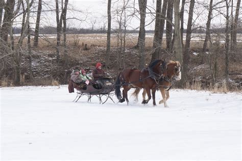 Howell Farm To Offer Valentine Rides And Activities Mercerme