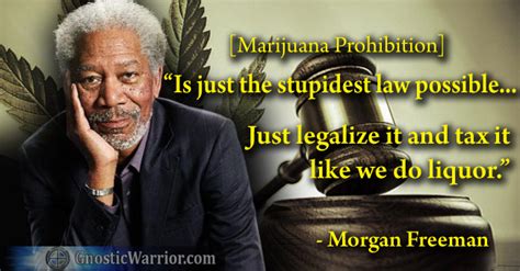 'peaceful warrior' is a 2006 drama film adapted from the famous 1980 novel by dan millman. Morgan Freeman on Marijuana Prohibition | Gnostic Warrior ...