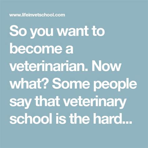 So You Want To Become A Veterinarian Now What Some People Say That