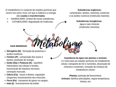 Mapa Mental Sobre Metabolismo