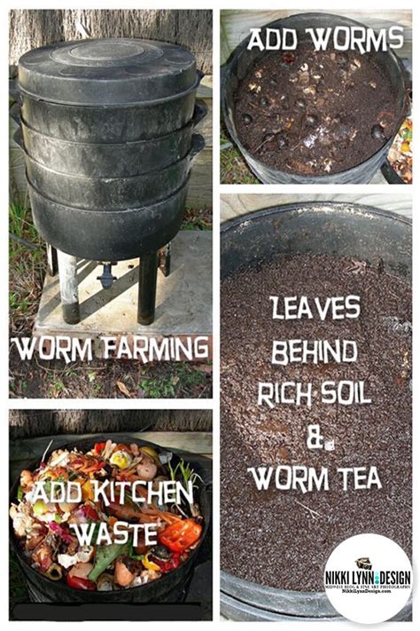 Composting With Worms Vermicomposting Worm Farming An Eco Friendly