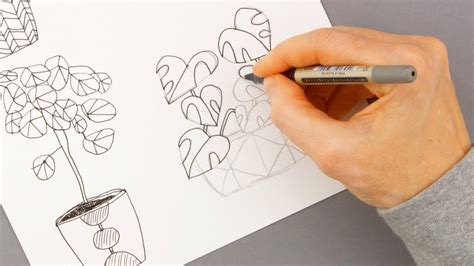 Weitere ideen zu zeichnungen, leichte zeichnungen, zeichnung. Blumen Und Pflanzen Zeichnen Leicht Gemacht