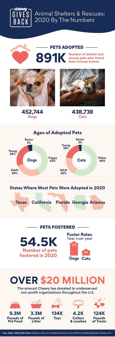 Pet Adoption Statistics 900000 Pets Find Forever Homes In 2020 Bechewy