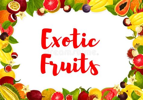 Vector Exotic Tropical Fruits Poster For Market Stock Vector