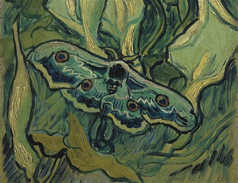 Van Gogh Butterflies Series Van Gogh Art Vincent Van Gogh