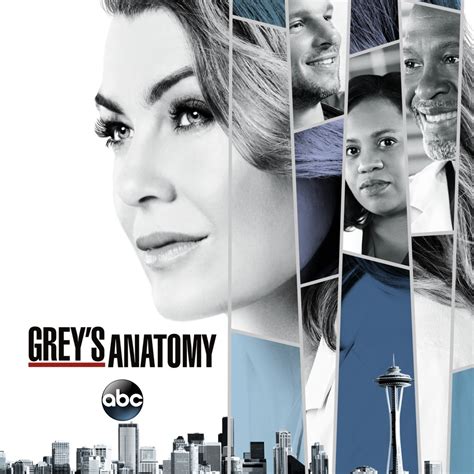 Greys Anatomy Season 14 Wiki Synopsis Reviews Movies Rankings