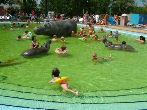 Porównaj je na fostertravel.pl i wybierz najlepszą dla siebie. Hajdúszoboszló - miejscowość uzdrowiskowa - hotele ...