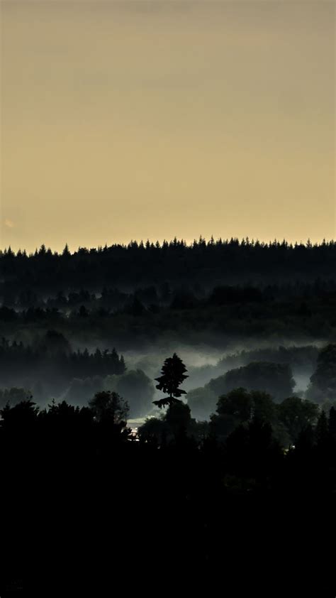 Fog Mist Horizon Sunrise Nature 720x1280 Wallpaper Latest Hd