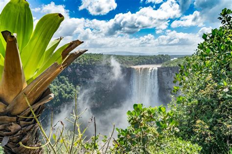 Guyana Wildlife Holiday Itinerary Journey Latin America