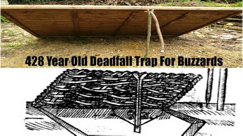 Deadfall Trap For Buzzards And Kites Mascalls Other Traps Youtube