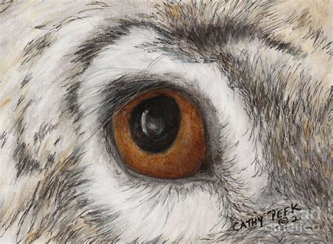 Rabbit Eye Cathy Peek Animal Eyes Art Series Drawing By Cathy Peek