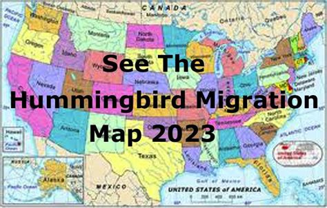 A Map With The Words See The Hummingbird Migration Map